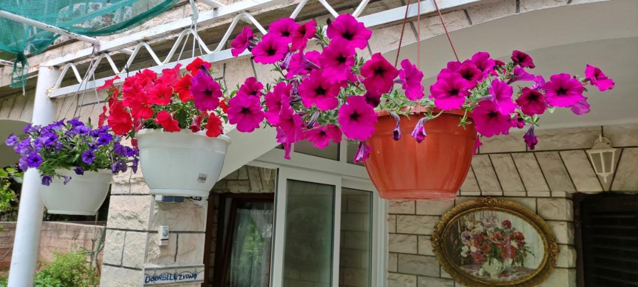 Apartments 1000 Flowers Stari Grad  Eksteriør billede