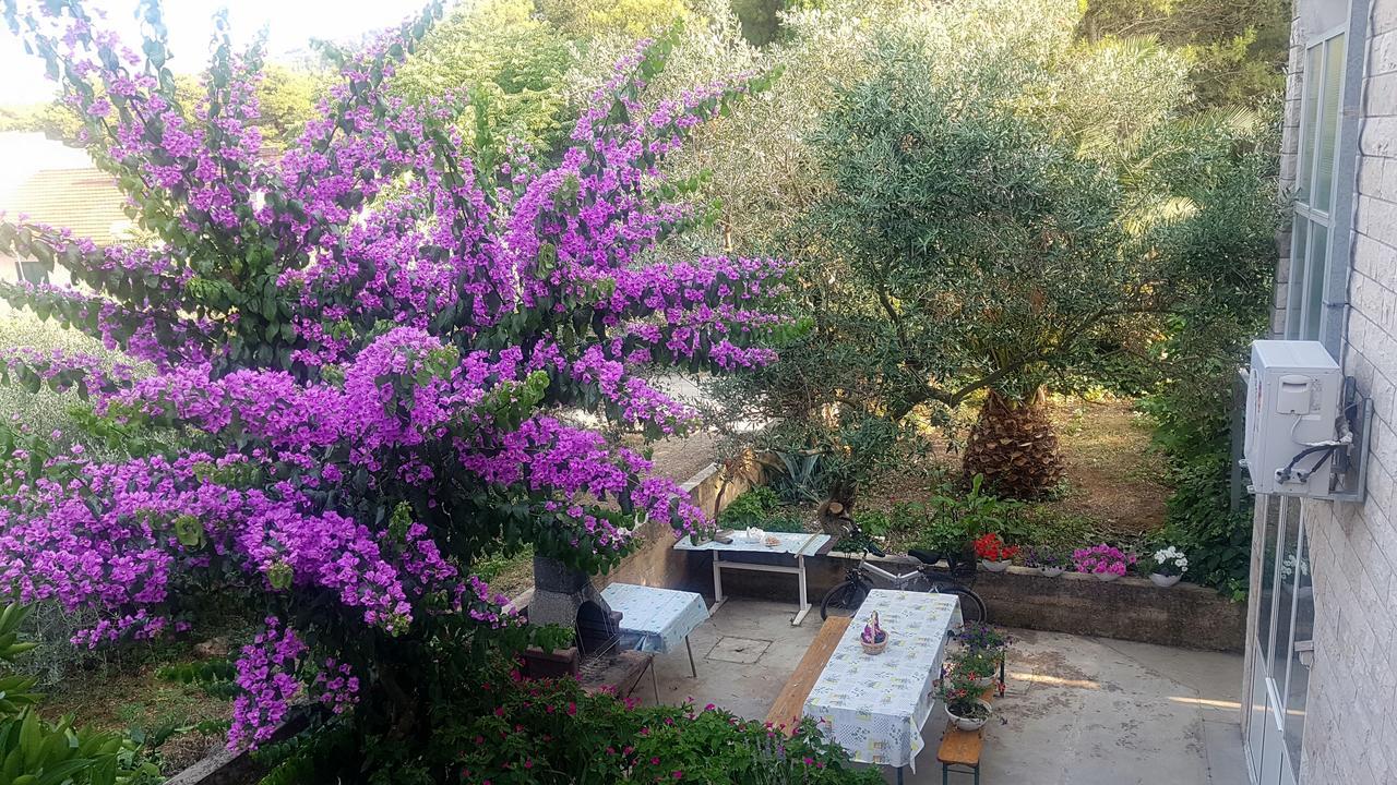 Apartments 1000 Flowers Stari Grad  Eksteriør billede